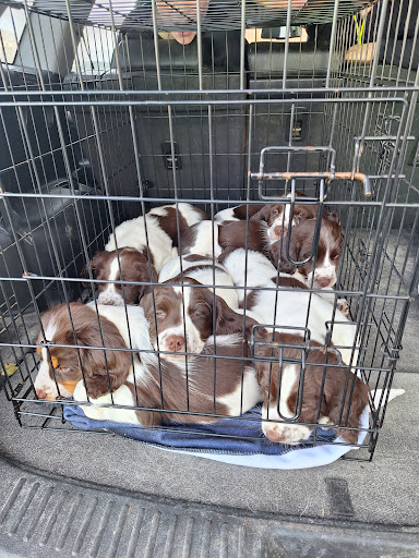 Photo from customer review